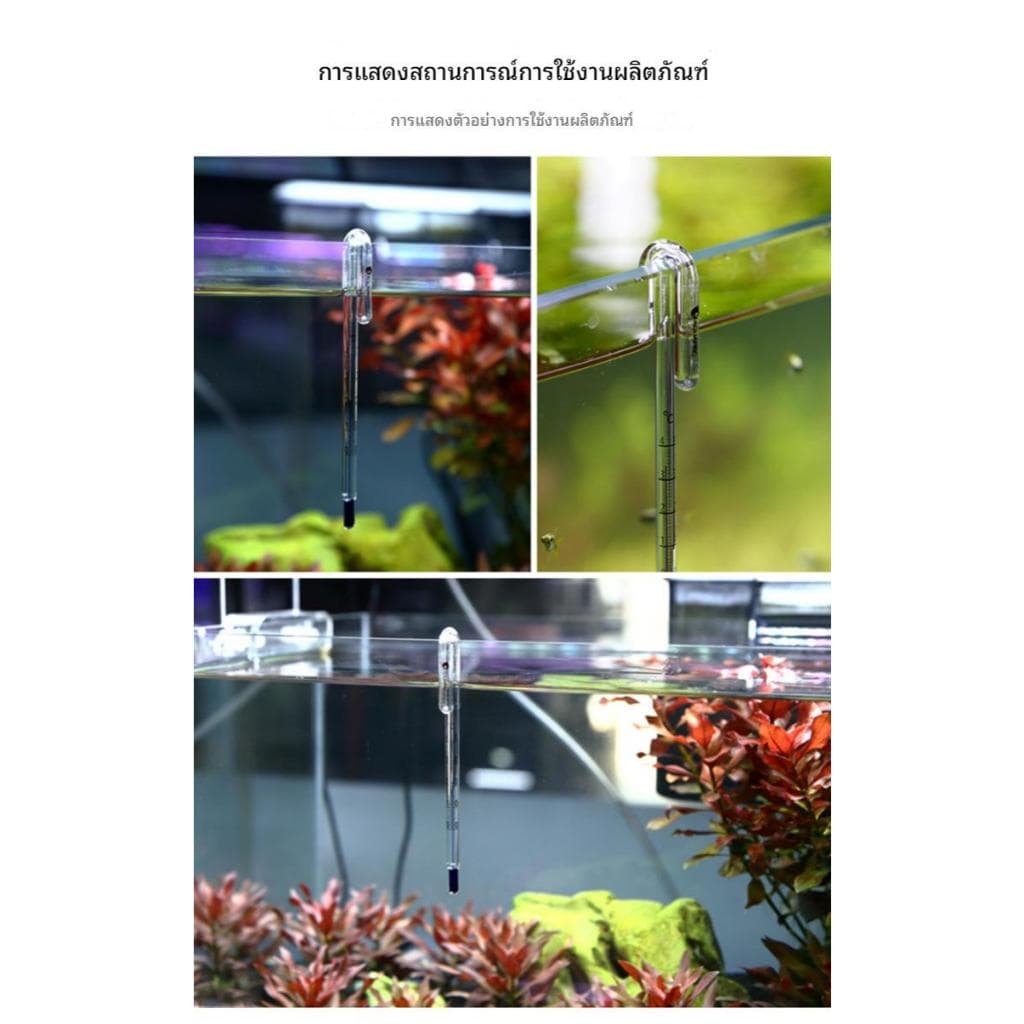ปรอท เทอร์โมมิเตอร์ อย่างดี แบบแขวน วัดอุณหภูมิ ตู้ปลา ตู้ไม้น้ำ ตู้ทะเล รูปที่ 6