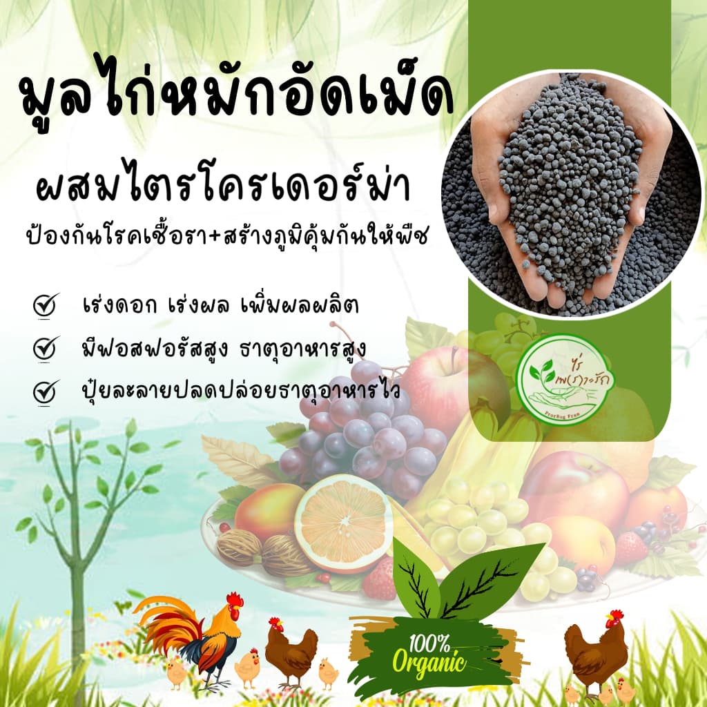 ขี้ไก่หมักอัดเม็ด เกรดA กระสอบ 20 กิโล ละลายไวไร้กลิ่น มูลไก่อัดเม็ด ** ผสมไตรโครเดอร์ม่า ดอกดกผลใหญ่ รูปที่ 2