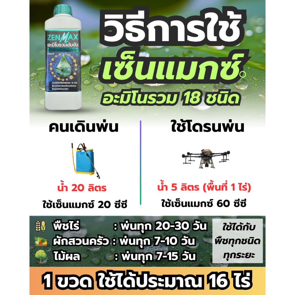 Zenmax อะมิโนพืช สูตรรวมเข้มข้น 18 ชนิด ชุด 1 ลิตร 199 บาท Z1 รูปที่ 5