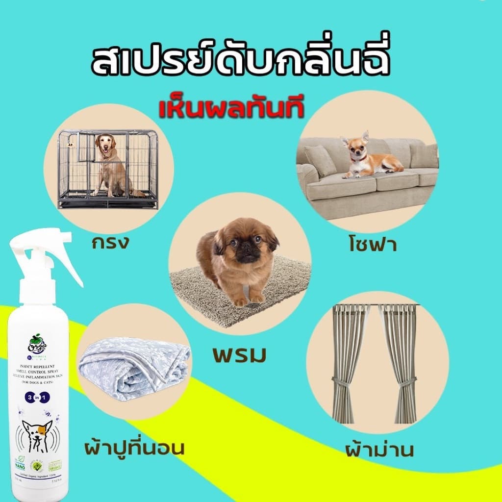 ชุดหยุดขี้เรื้อนหมาแมว เรื้อนเปียกเรื้อนแห้งเชื้อรายีสต์ เซ็ทคู่สุดคุ้ม มังคุด250ml.+สเปรย์200ml. รูปที่ 4