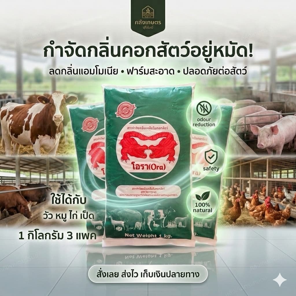 กำจัดกลิ้นเหม็นในคอกสัตว์ อาหารเสริมจิ้งหรีด โอรา ORA บรรจุ 1 KG. เหมาะกับสัตว์ทุกชนิด ปลอดภัยต่อคนและสัตว์ รูปที่ 1