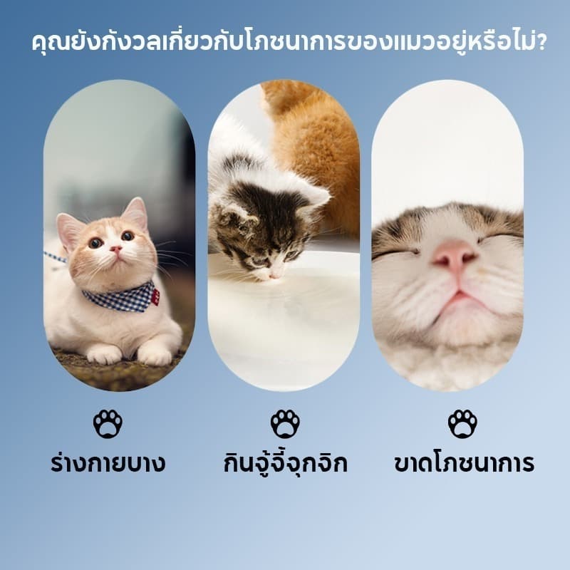 Mango 100 ชิ้น ขนมแมวเลีย ขนาด 15g รสชาติอร่อยถูกใจน้องเหมียว ชอบมาก แถบแมว มีให้เลือก 5 รส แถมฟรี! ช้อนป้อนขนมแมวเลีย รูปที่ 6