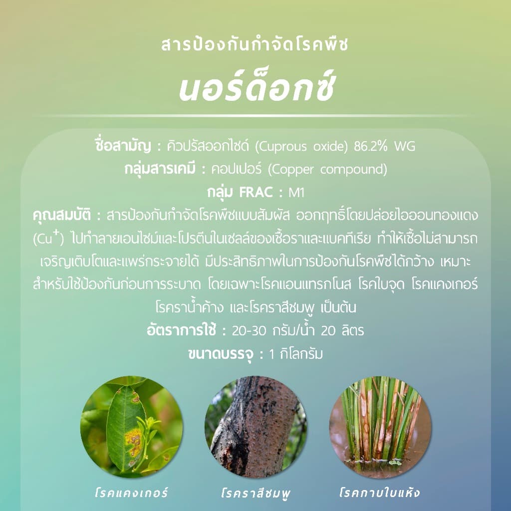 นอร์ด็อกซ์ *บรรจุภัณฑ์ใหม่* 1 กิโลกรัม รูปที่ 2