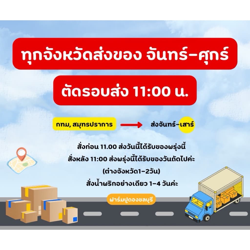 โปรแมงกะพรุนหัวกระสุนล้วนๆ4กระปุก กรอบเนื้อเจลลี่ รูปที่ 7
