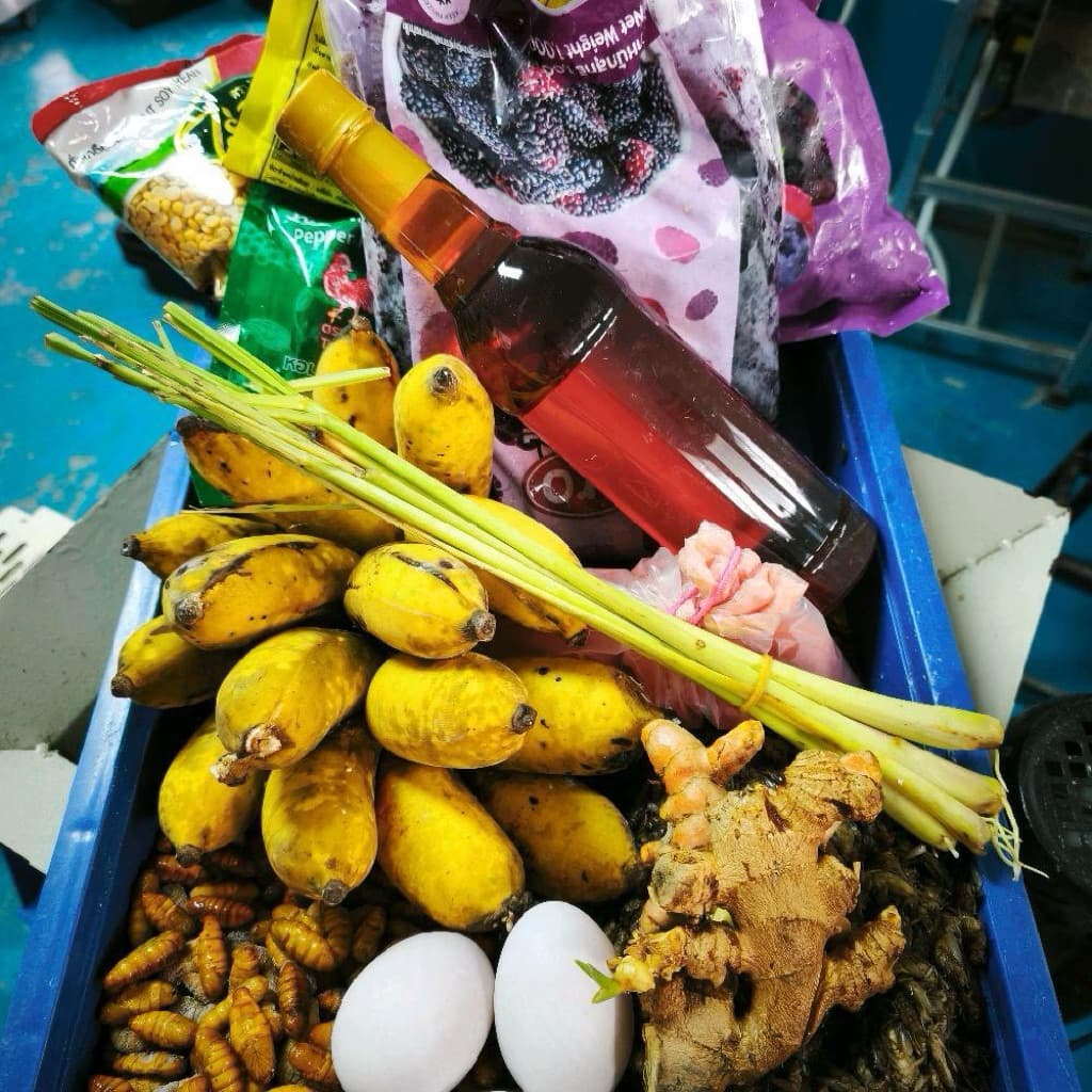 อาหาร นกกรงหัวจุก สูตรนกชำชายคา รูปที่ 3
