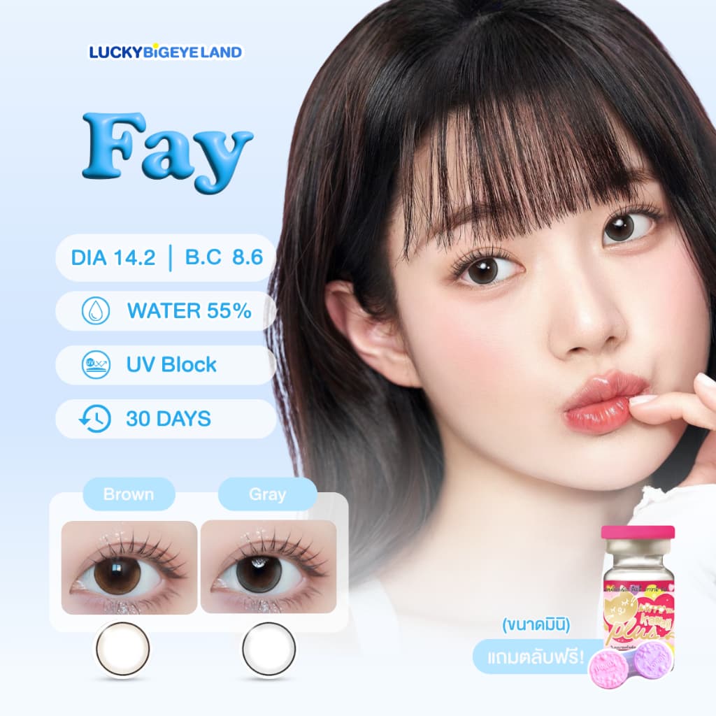 คอนแทคเลนส์ Fay Brown / Gray ขนาดมินิ รูปที่ 1