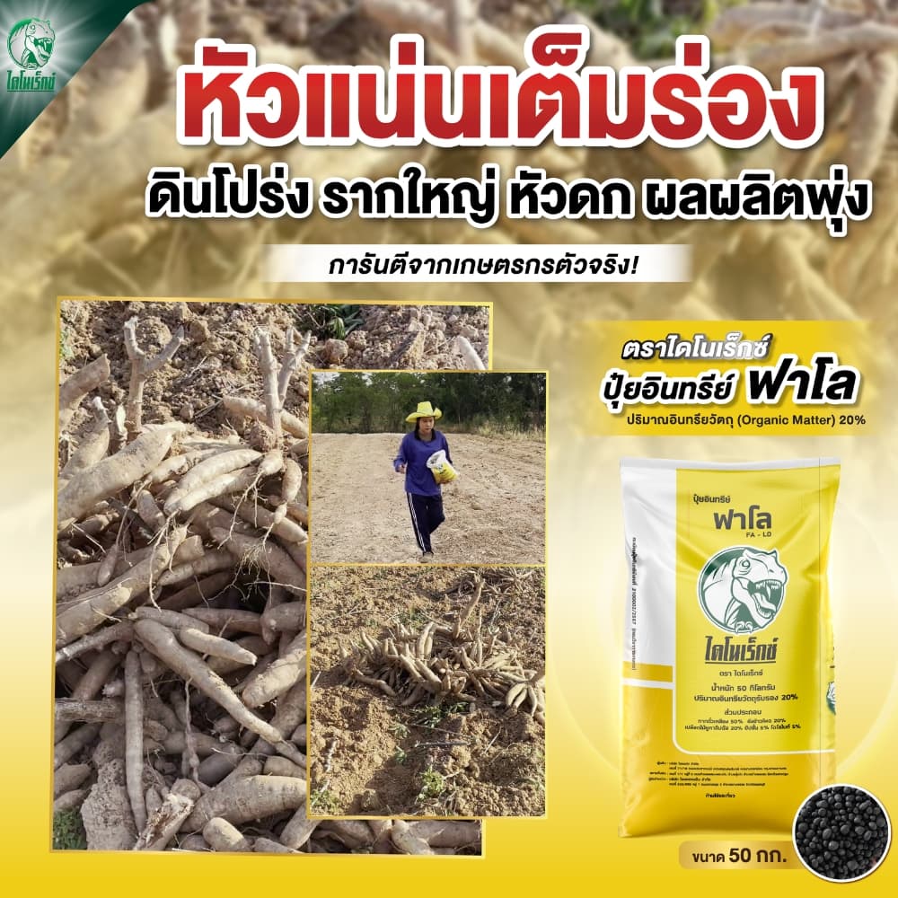 ปุ๋ยอินทรีย์ฟาโล 5 กก. ตราไดโนเร็กซ์ อินทรีย์แท้ ปุ๋ยพืช 100% ไร้มูลสัตว์ ฟื้นฟูดิน เพิ่มผลผลิต รากเดินดี พืชโตไว ผลดก รูปที่ 9