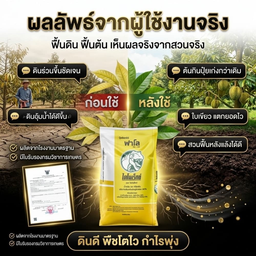 ปุ๋ยอินทรีย์ฟาโล 5 กก. ตราไดโนเร็กซ์ อินทรีย์แท้ ปุ๋ยพืช 100% ไร้มูลสัตว์ ฟื้นฟูดิน เพิ่มผลผลิต รากเดินดี พืชโตไว ผลดก รูปที่ 7