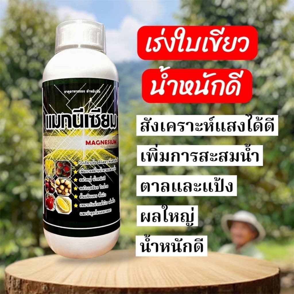 แมกนีเซียม กำมะถัน แมงกานีส โบรอน ใบเขียวเข้ม เร่งใบแก่เร็ว กระตุ้นการกินปุ๋ยเก่ง พืชโตไว รูปที่ 1