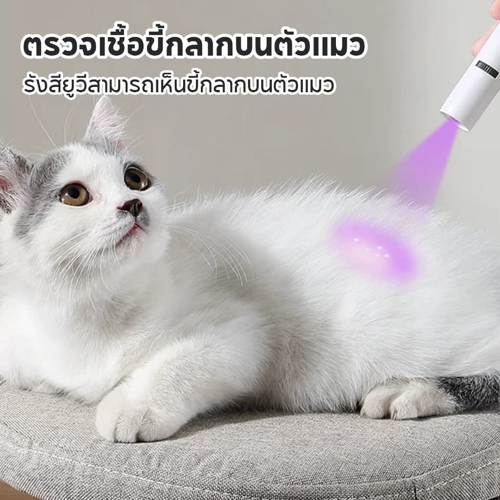 TUBIปากกาเลเซอร์สำหรับแมว ฉายลายน่ารักได้หลายแบบ ของเล่นแมว Interactive ช่วยลดเบื่อและขี้เกียจ ฝึกซ้อมล่าเหยื่อ USB รูปที่ 3
