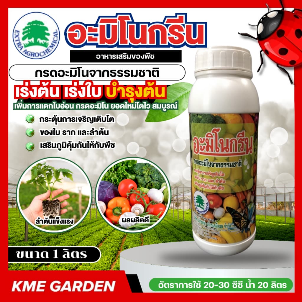 อาหารเสริม อะมิโนกรีน ขนาด 1 ลิตร เร่งต้น เร่งใบ บำรุงต้น เพิ่มการแตกใบอ่อน กรดอะมิโน ยอดใหม่โตไว สมบูรณ์ แข็ง อาหารเส รูปที่ 1