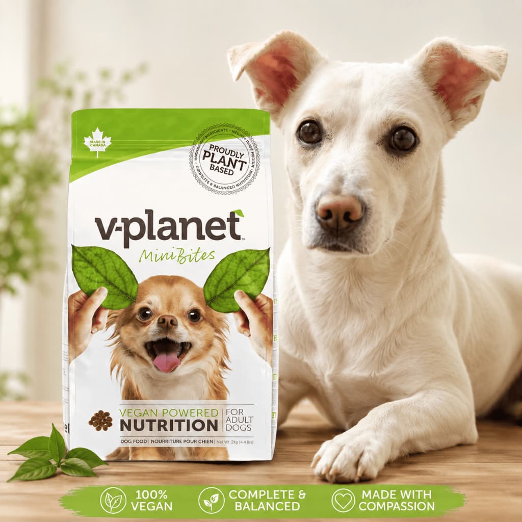 V-Planet อาหารสุนัขเม็ด สูตรเจ วีแกน 100% ทำจากพืช Plant-Based โปรตีนจากพืชไม่มีเนื้อสัตว์ 6.8kg รูปที่ 3