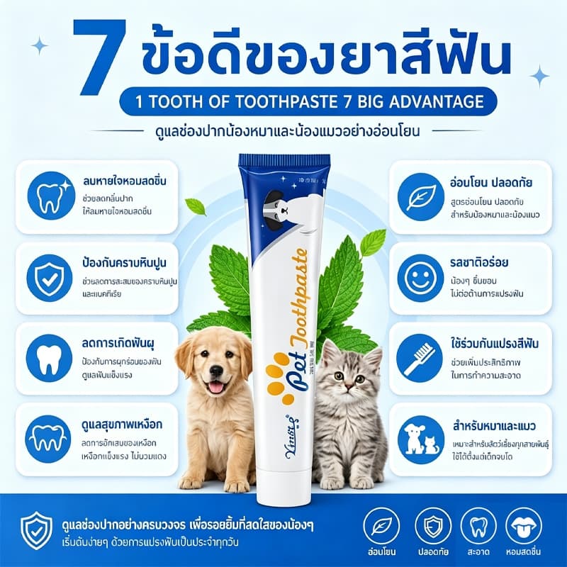 ชุดแปรงฟันสัตว์เลี้ยง ลดหินปูน ช่วยลดกลิ่นปากสัตว์เลี้ยง สุขภาพฟันดี หลายรสชาติ ชุดยาสีฟันหมาและแมวสำหรับสัตว์เลี้ยง รูปที่ 4