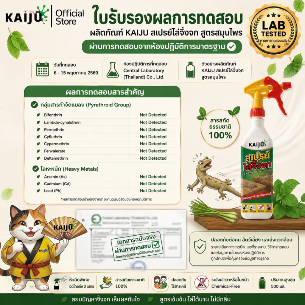สเปรย์ไล่จิ้งจก&ตุ๊กแก ขนาด1ลิตรสูตรสมุนไพรเข้มข้นแสบร้อนจนต้องร้องขอชีวิต!สารสกัดธรรมชาติ100% รูปที่ 9