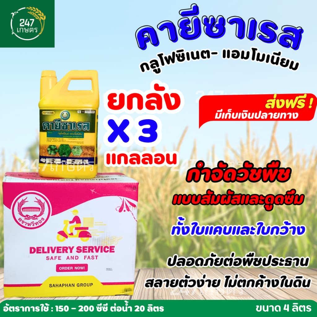 **ยกลัง3แกลลอน*คายีซาเรส กลูโฟซิเนต-แอมโมเนียม ตราหวีทอง 4 ลิตร ใช้ทดแทนพาราควอต กำจัดวัชพืชแบบสัมผัสและดูดซึม ทั้งใบแคบ รูปที่ 1
