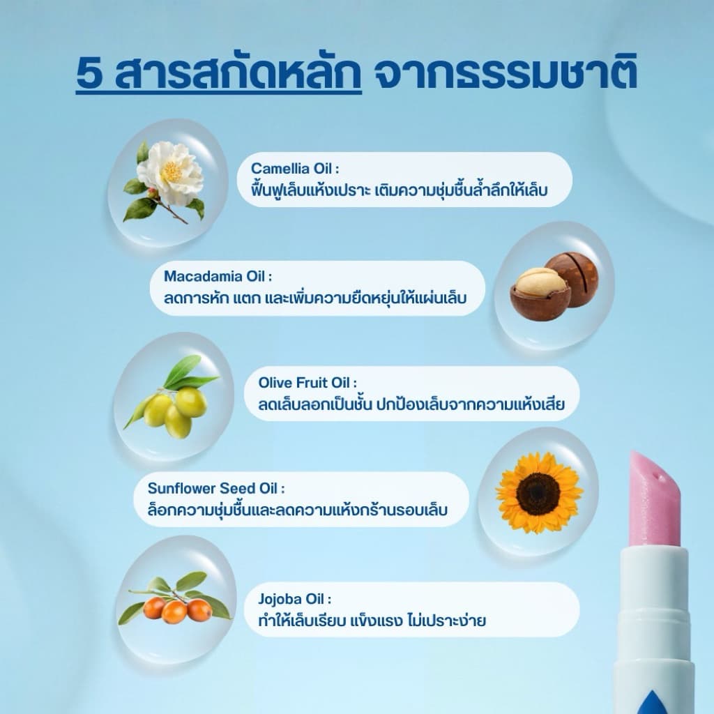ปากกาเซรั่มบำรุงเล็บแข็งแรง จมูกเล็บลอก เล็บโทรมจากทาเจล Skinjoy Nail Serum Pen รูปที่ 2