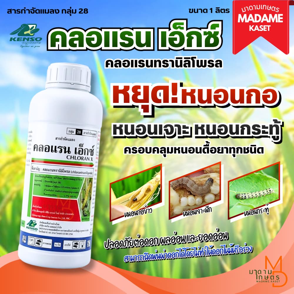 คลอแรน เอ็กซ์ 1 ลิตร สารเดียวกับพรีวาธอนกับดูปองค์ ป้องกันและกำจัดหนอนกอข้าว หนอนเจาะ รูปที่ 1