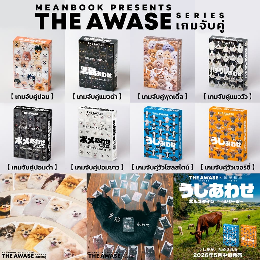 เกมจับคู่แมวดำ / เกมจับคู่ปอม / เกมจับคู่พุดเดิ้ล The Awase Series Board Game รูปที่ 1