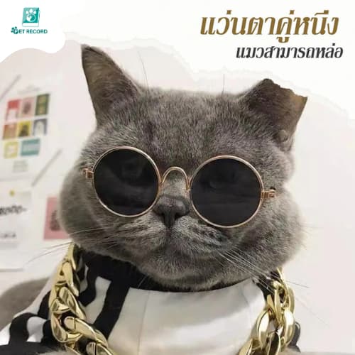 Pet Record แว่นตาสัตว์เลี้ยง แว่นแมว แว่นสุนัข กันลม กันฝุ่น ดีไซน์น่ารัก แถมฟรีสายคล้องแว่นกันลื่น รูปที่ 2