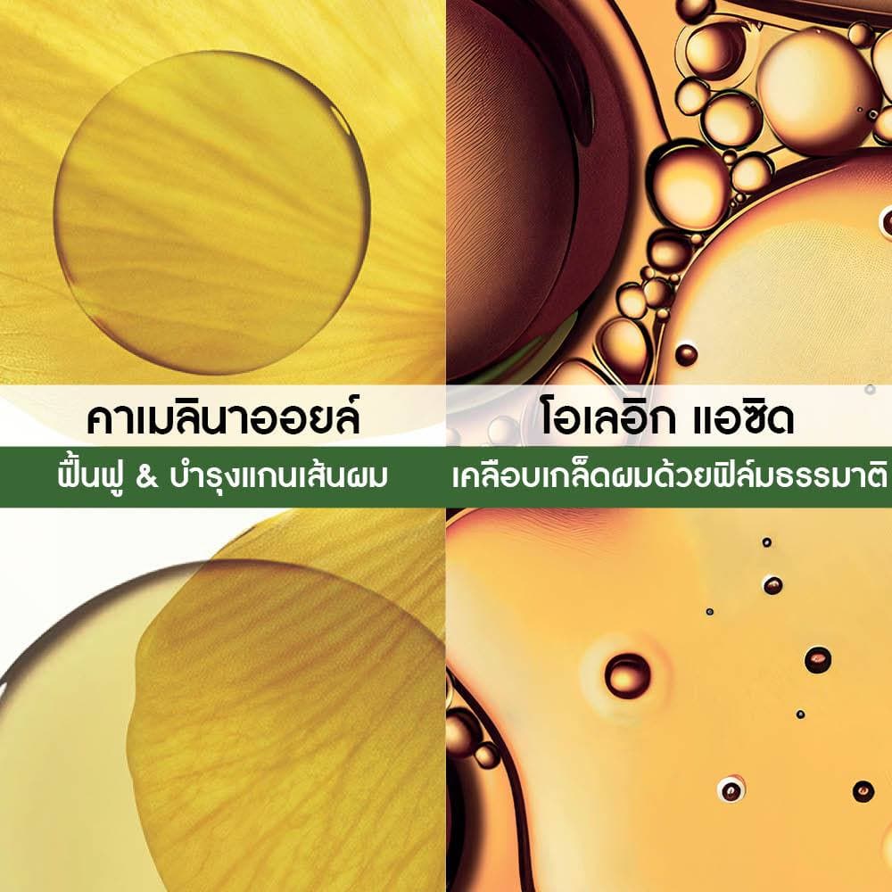 อีฟ โรเช Yves Rocher Nutrition Nourishing Shampoo 300 ml แชมพูสำหรับผมแห้ง - ผมแห้งเสีย บำรุงเส้นผม รูปที่ 4