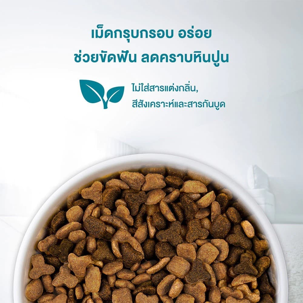 โปรแรง จำกัด 100 ถุง ! PURINA ONE อาหารเม็ดแมวสูตร HEALTHY ADULT CHICKEN ซุปเปอร์พรีเมี่ยม แมวโต รสไก่ ขนาด 6.6 kg. รูปที่ 5