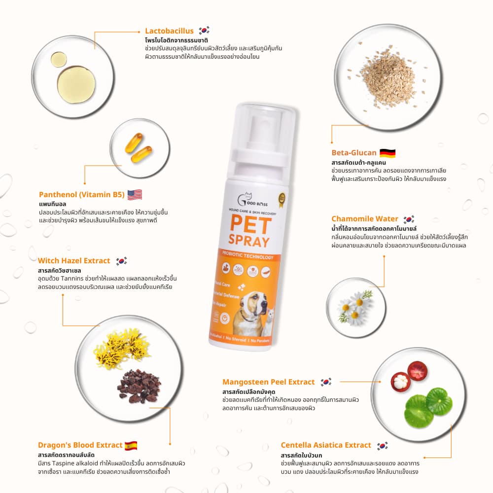 Goodboss Pet Spray สเปรย์สมานเเผลสำหรับสัตว์เลี้ยง ช่วยให้เเผลเเห้งเร็ว ผลิตภัณฑ์ออแกนิค รูปที่ 7