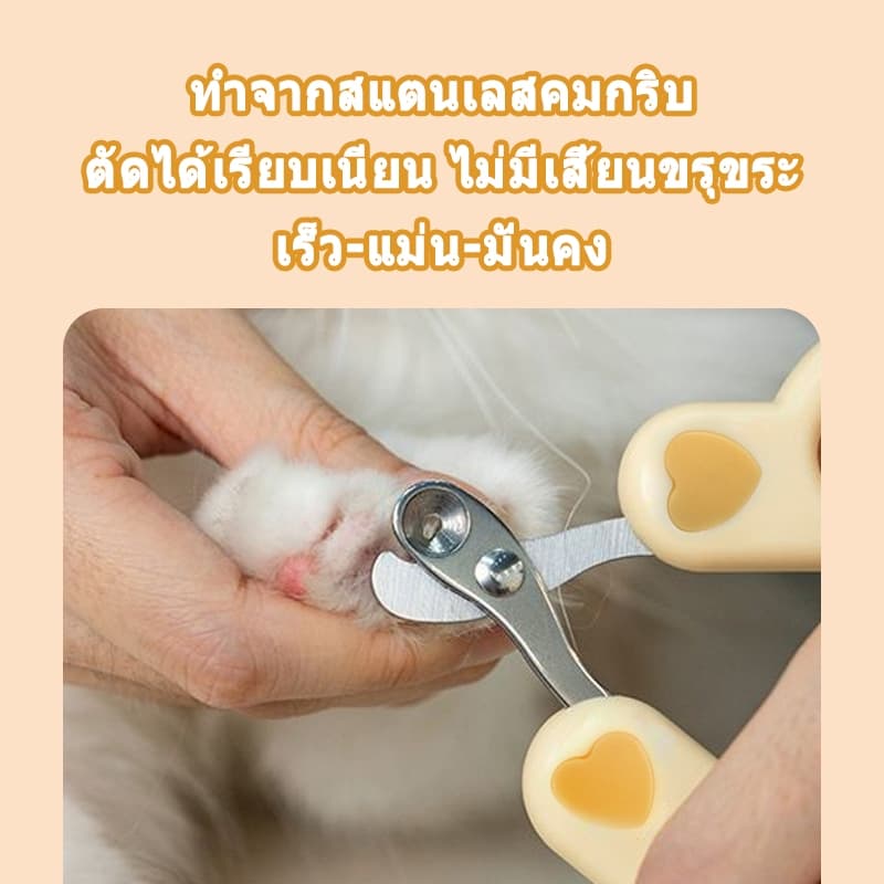 กรรไกรตัดเล็บ แมว กรรไกรตัดเล็บสุนัข ที่ตัดเล็บแมว สุนัขเล็ก ใช้ง่ายแม้มือใหม่ ใบมีดสแตนเลสทนทาน ใช้งานง่าย กรรไกรตัด รูปที่ 8
