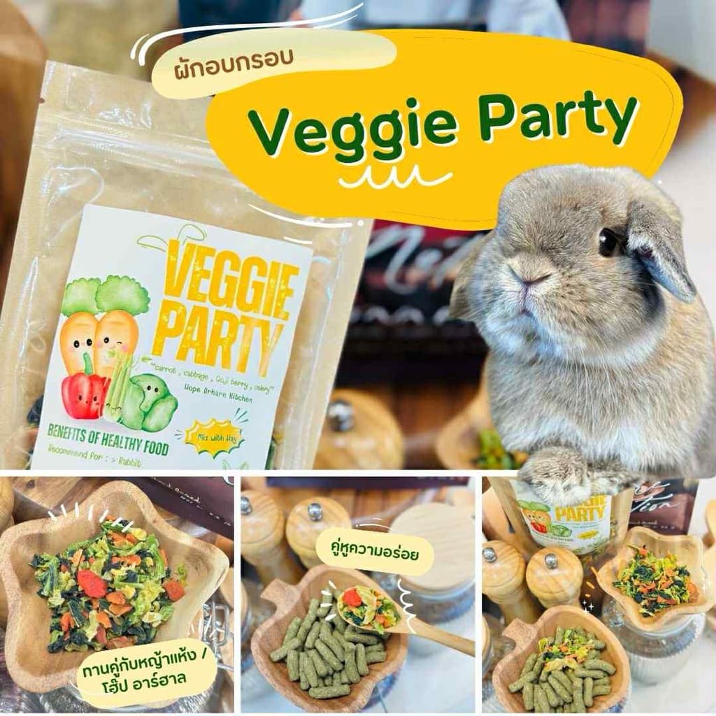 veggie party ผักรวมอบกรอบ รูปที่ 1