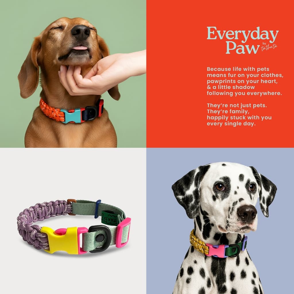 ปลอกคอแมวนิรภัย รุ่น Cat Ramen Collar แบรนด์​ Everyday Paws by TA.THA.TA รูปที่ 9