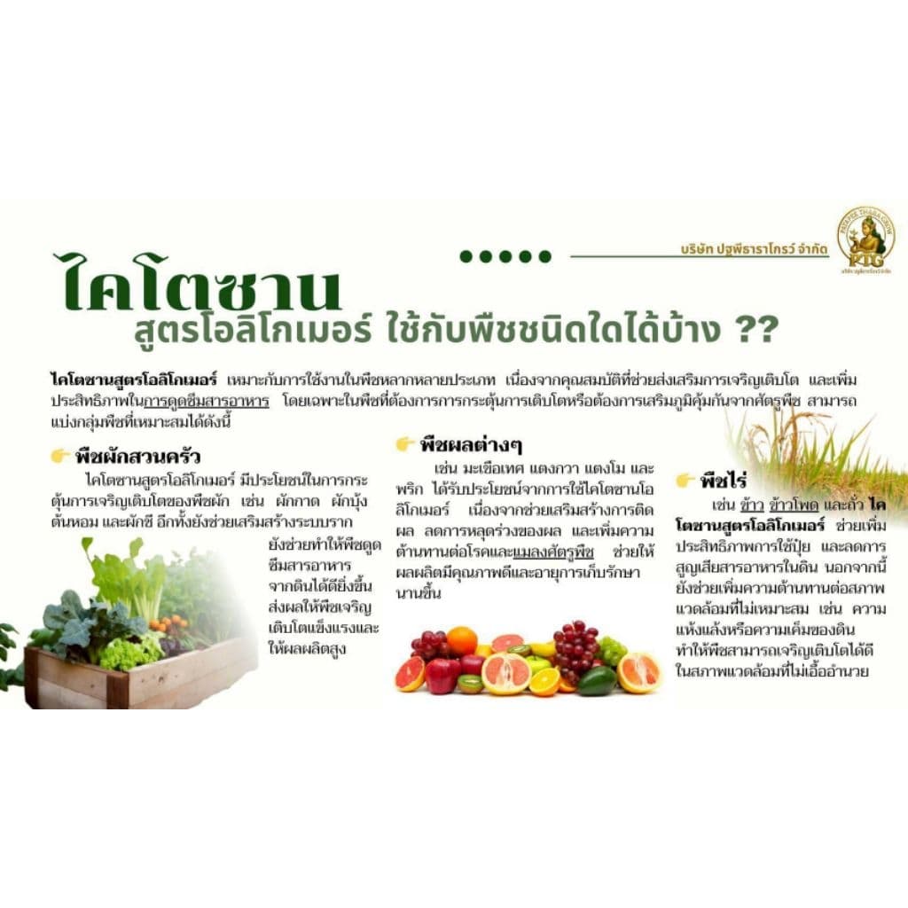 ชุดคู่หูมหัศจรรย์ปฐพีธารา สูตรดั้งเดิม รูปที่ 8