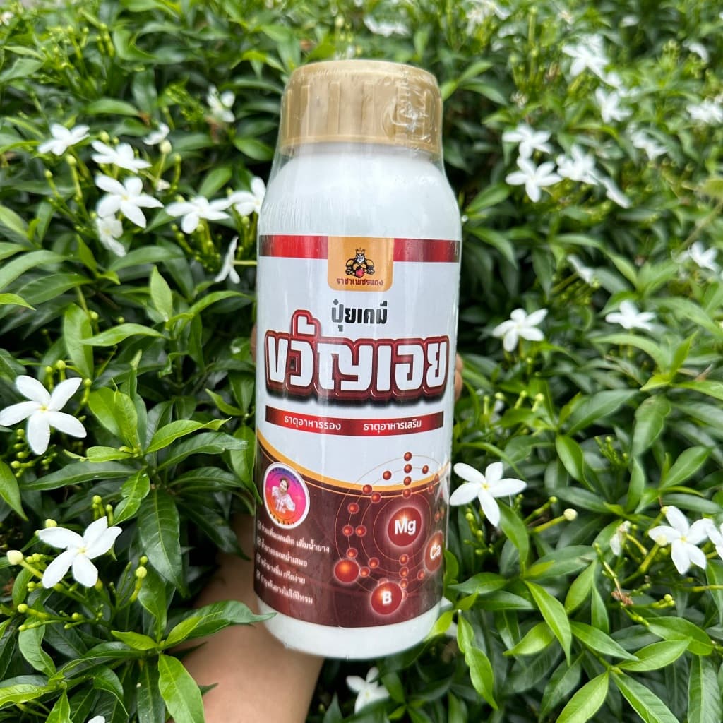 ยาทาหน้ายาง ปุ๋ยทาหน้ายางพรีเมี่ยม ธาตุอาหารเสริม เพิ่มน้ำยางและรักษายางตายนึ่ง รูปที่ 2