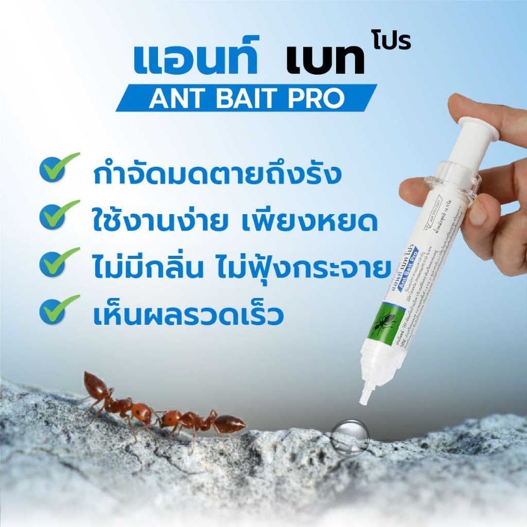 แอนท์เบทโปร เจลกำจัดมด เหยื่อกำจัดมด ของแท้ ! ฉลากภาษไทย รูปที่ 4