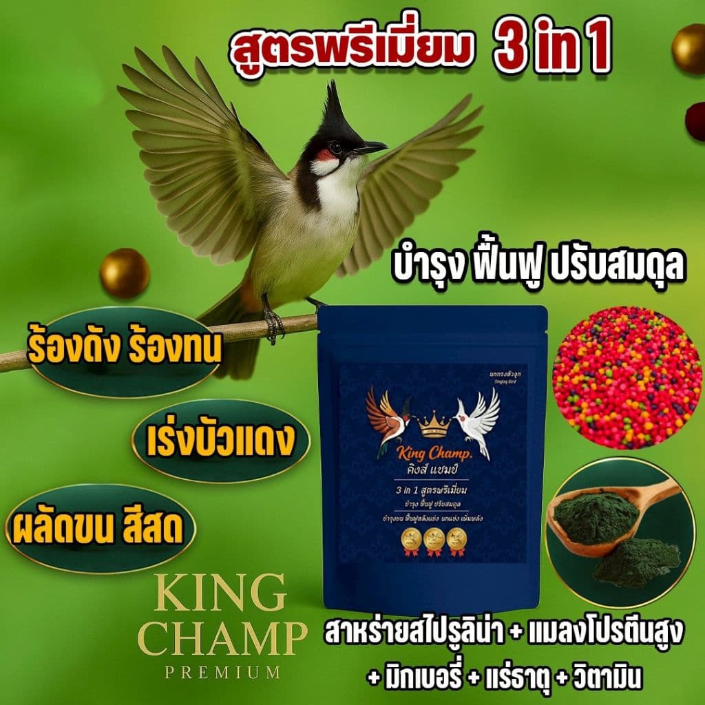 อาหารนกกรงหัวจุก คิงส์แชมป์ สูตรพรีเมี่ยม ขนาด 500กรัม ไซต์ SS 3 in 1 บำรุงฟื้นฟู ปรับสมดุล ร้องดัง ร้องสนุก
