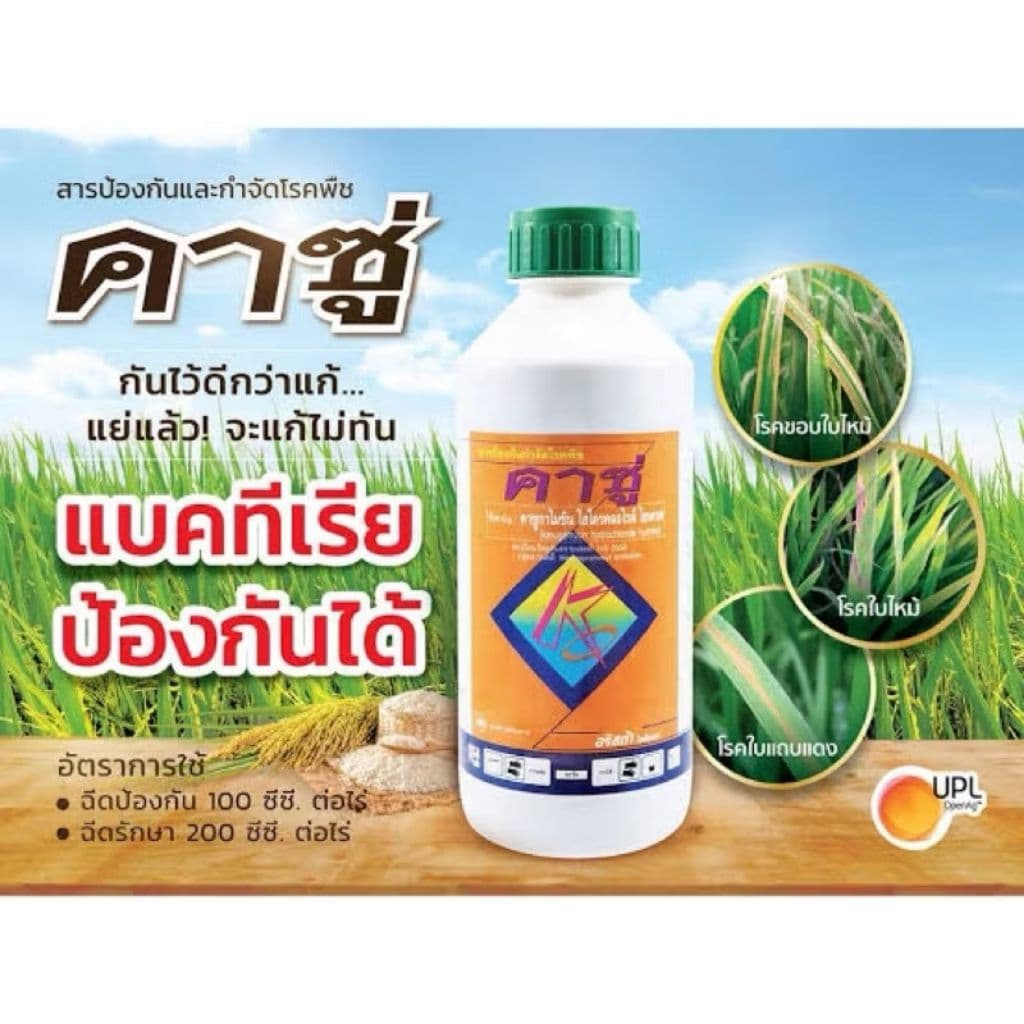คาซู่ 1 ลิตร คาซูกาไมซิน แบคทีเรีย ไวรัส ใบส้ม ใบขีด ใบจุด ใบโปร่งแสง เชื้อรากาบใบแห้ง รูปที่ 4