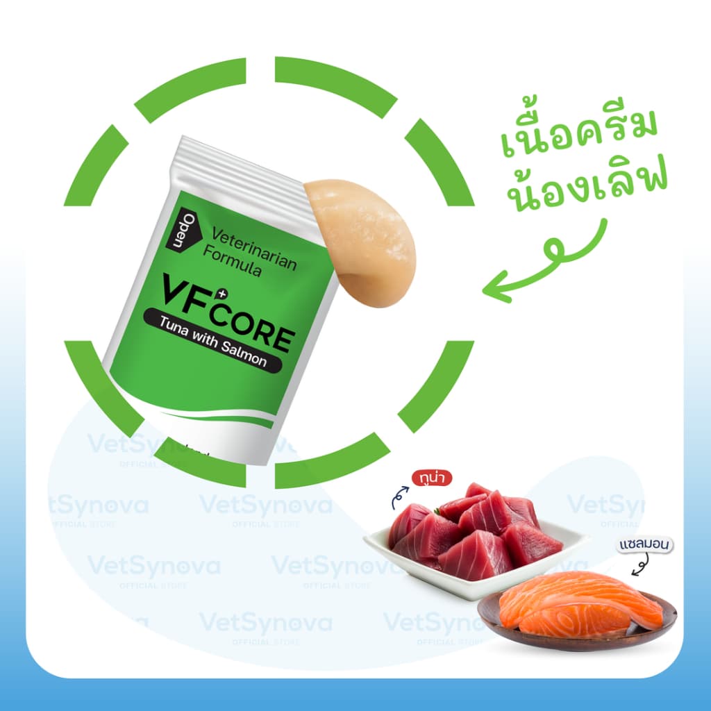 VFcore JC Fish วิตามินแมวเลียบำรุงข้อ สูตรเนื้อปลา 12 ซอง รูปที่ 2