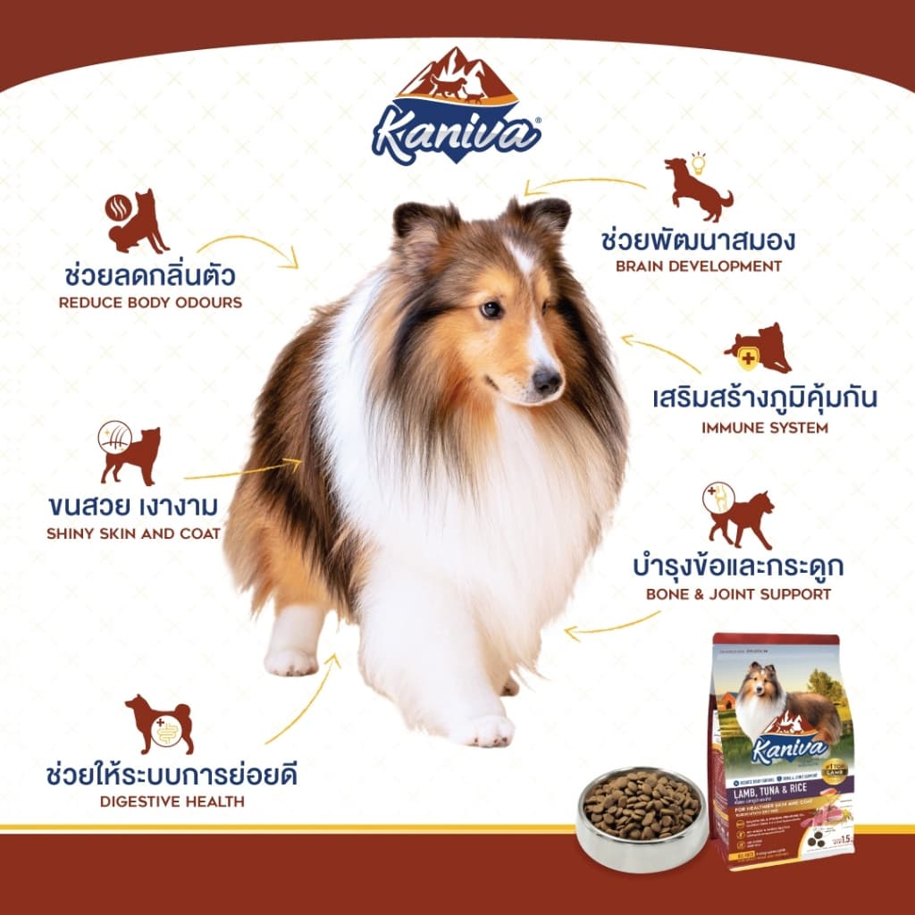 Kaniva Dog Food อาหารสุนัข ขนาด 8 - 12 KG. สำหรับสุนัข 4 เดือนขึ้นไป รูปที่ 4