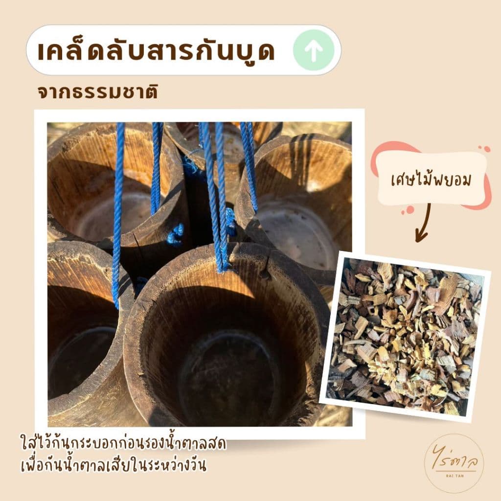 น้ำตาลมะพร้าวแท้เพชรบุรี 1 กิโล รูปที่ 3