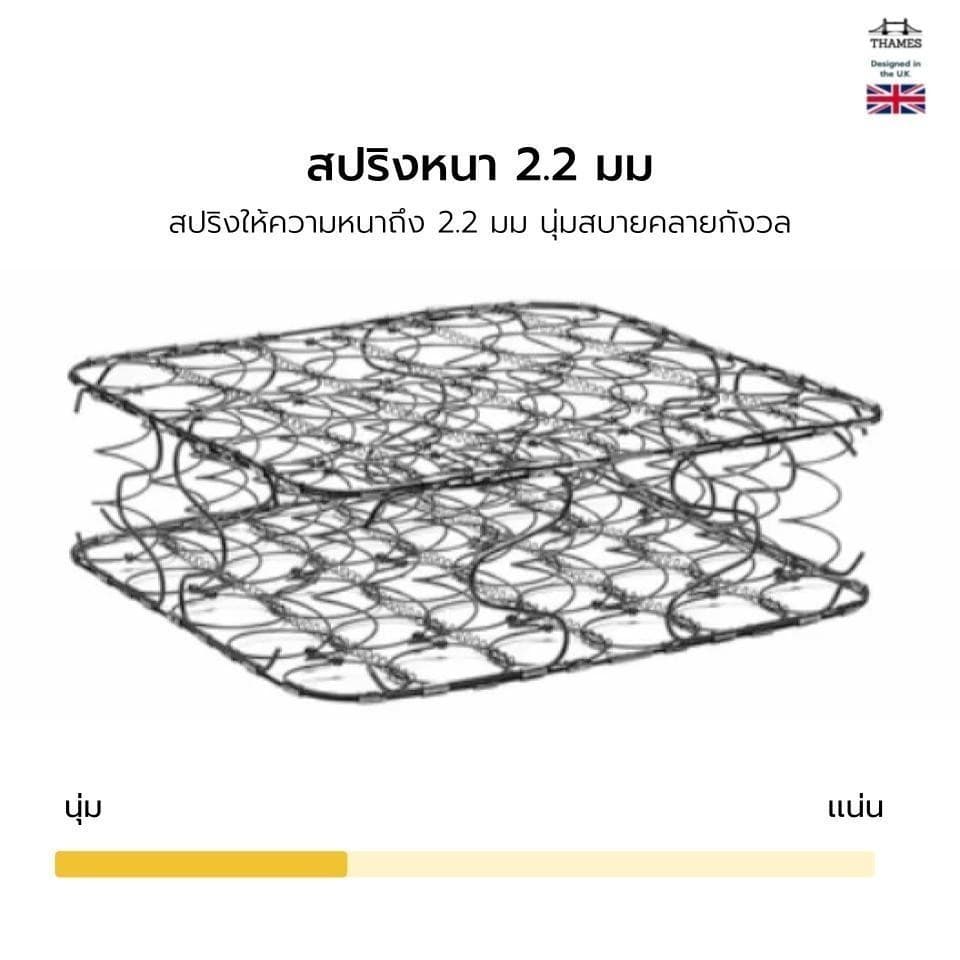 Thames ที่นอนสปริง เกรดพรีเมียม รุ่น Winner ความหนา 9 นิ้ว ที่นอนเพื่อสุขภาพ แข็งแรง หนานุ่ม นอนหลับสบาย รองรับสรีระ รูปที่ 3