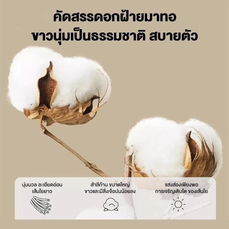 ผ้าปูที่นอน กันไรฝุ่น 3.5ฟุต/5ฟุต/6ฟุต ชุดเครื่องนอน ผ้าคุณภาพดีรุ่นอัพเกรด รูปที่ 9