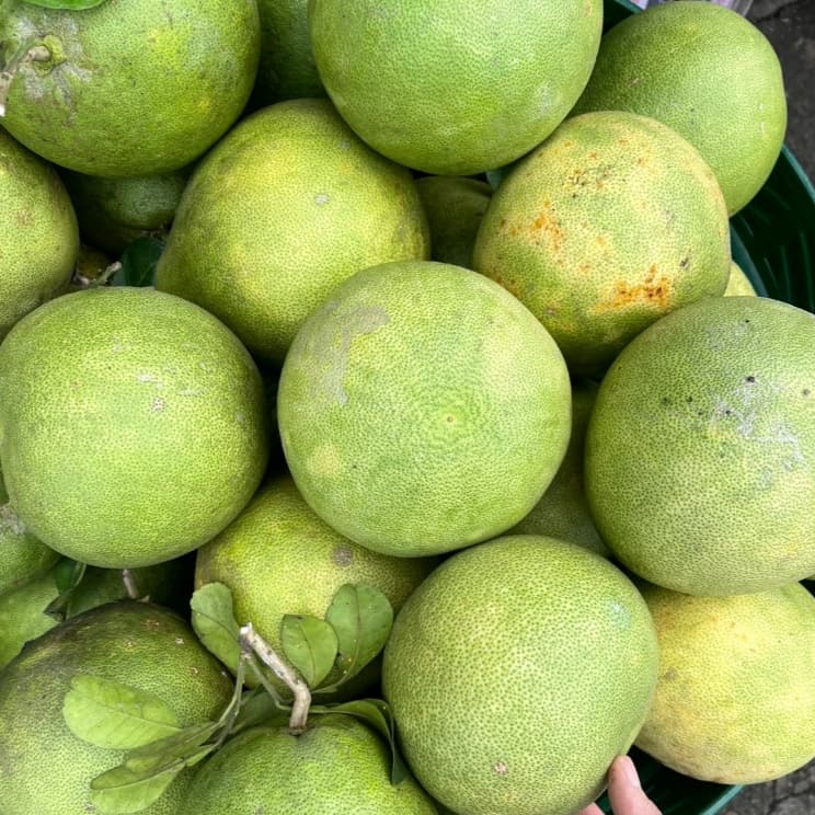 ส้มโอขาวใหญ่อัมพวาแท้ ส่งตรงจากสวน ขายเอง - คละไซส์ รูปที่ 4