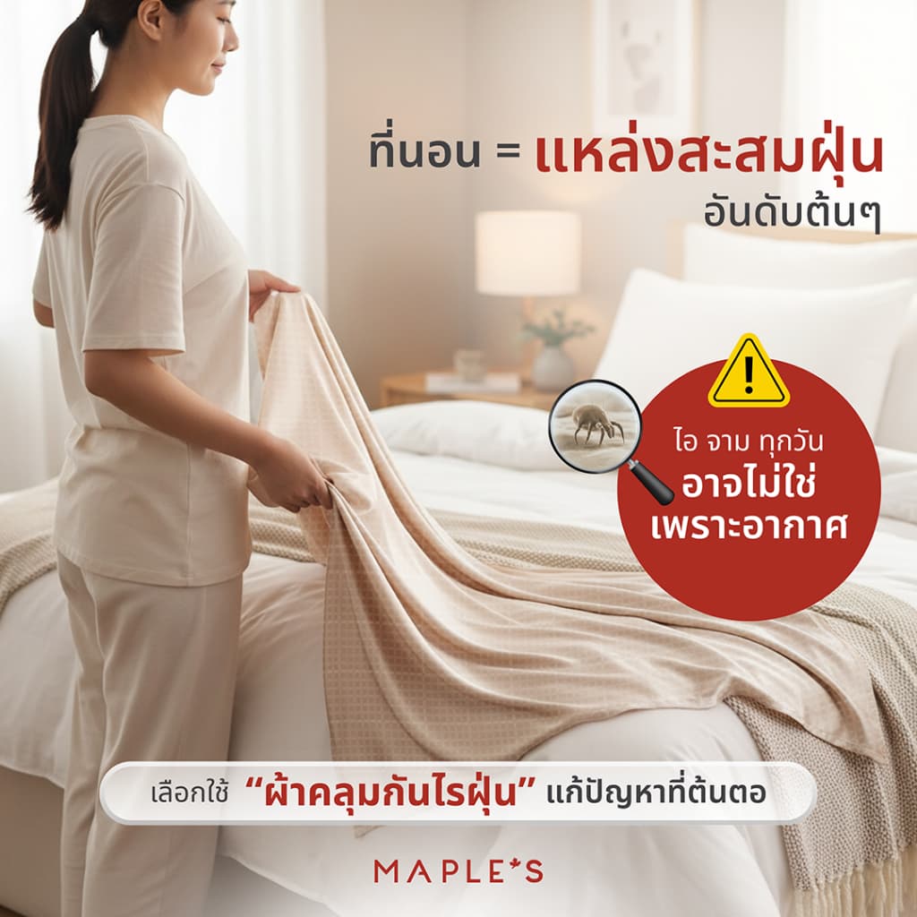 MAPLE'S ผ้าคลุมเตียง ผ้าคลุมโซฟา ผ้าคลุมเฟอร์นิเจอร์ เตียง 3.5ฟุต 5ฟุต 6ฟุต ปกป้องจากฝุ่น bedspread รูปที่ 2