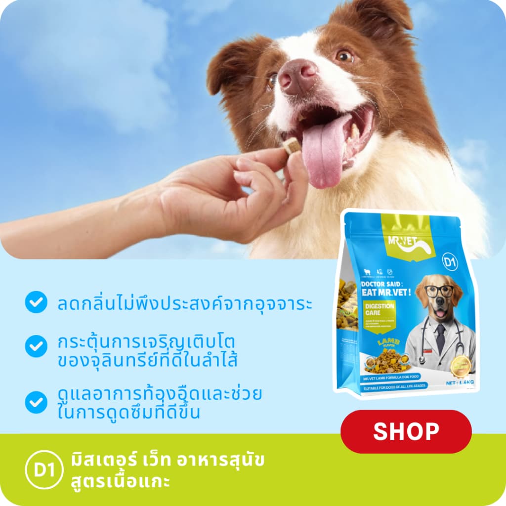 MrVet อาหารสุนัข D1 Holistic Premium 1.4kg สูตรเนื้อแกะ ดูแลระบบย่อยอาหาร เหมาะสำหรับทุกช่วงวัย รูปที่ 5