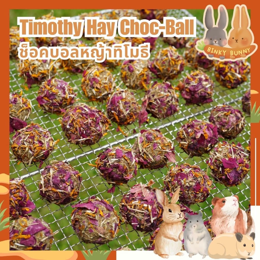 Binky Bunny House ช็อคบอลหญ้าทิโมธี ขนมอบแห้งลับฟันสำหรับสัตว์ฟันแทะ 10 ลูก รูปที่ 8