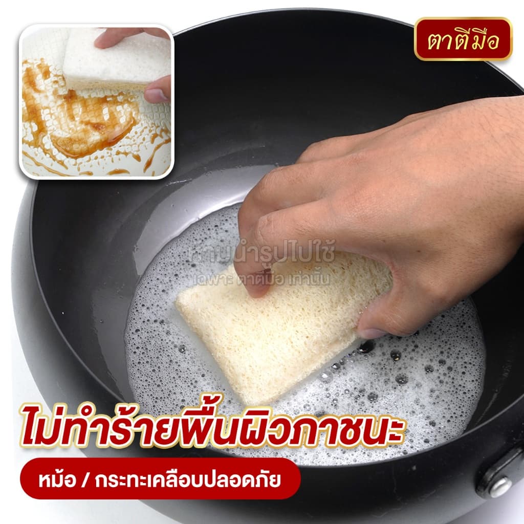 ตาตีมือ ใยบวบล้างจาน 2 หน้า ล้างกระทะ ใยบวบธรรมชาติไม่อัดแบน อ่อนโยนต่อภาชนะ รูปที่ 5