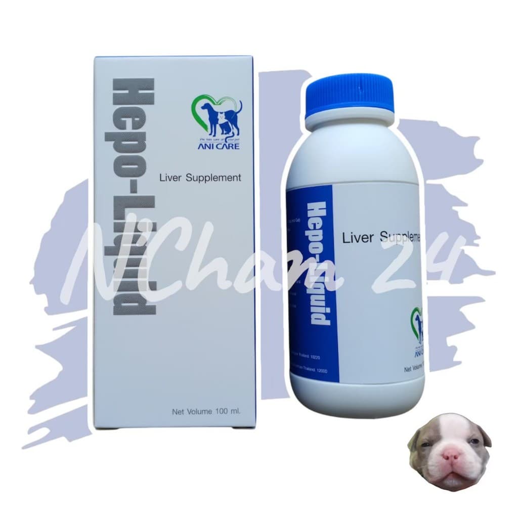 Hepo-Liquid 100 ml หมดอายุ08/2027 วิตามินบำรุงตับ สุนัขและแมว รูปที่ 1