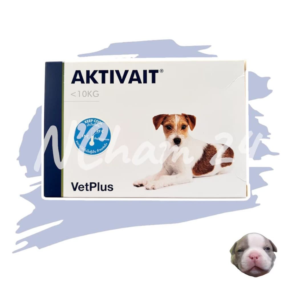 Aktivait Small Breed แอคติเวท อาหารเสริมไขมันสำหรับสุนัขพันธุ์เล็กอายุ 7 ปีขึ้นไป บรรจุ 60 แคปซูล รูปที่ 1