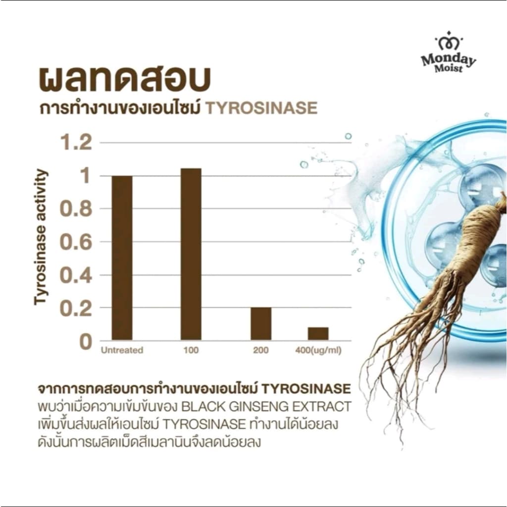 Mondaymoist Ginseng eye cream โสมใต้ตา มันเดย์มอยส์ จินเส็ง อายครีม โสมใต้ตา โสม รูปที่ 3