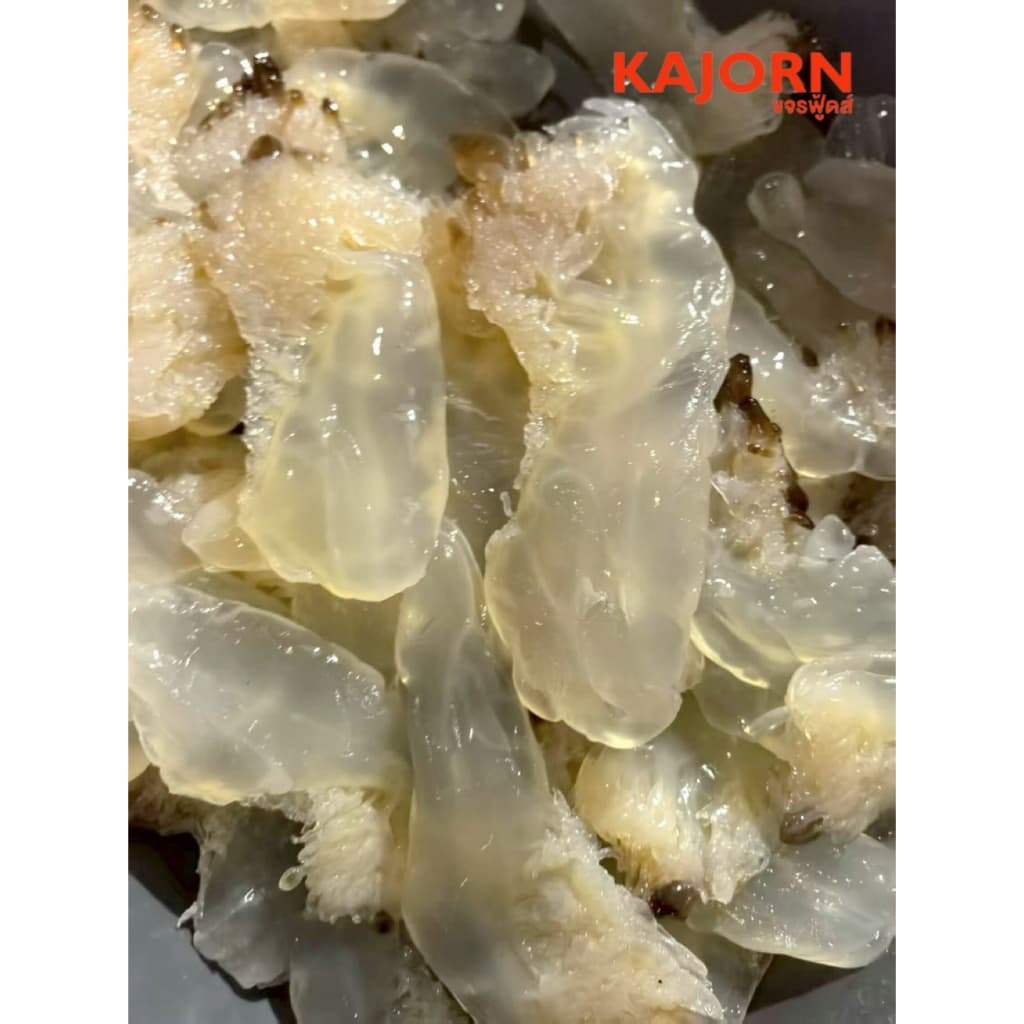 ขาแมงกะพรุน KAJORN ขจรฟู้ดส์ รูปที่ 5