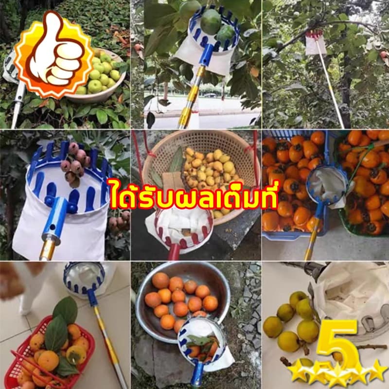 ตะกร้อสอยผลไมั แถมถุงตาข่าย ด้ามยืดหดได้ เก็บผลไม้เร็ว ไม้สอยผลไม้ ตะกร้อสอยมะม่วง3/4/5/6/7/10M สแตนเลส รูปที่ 7