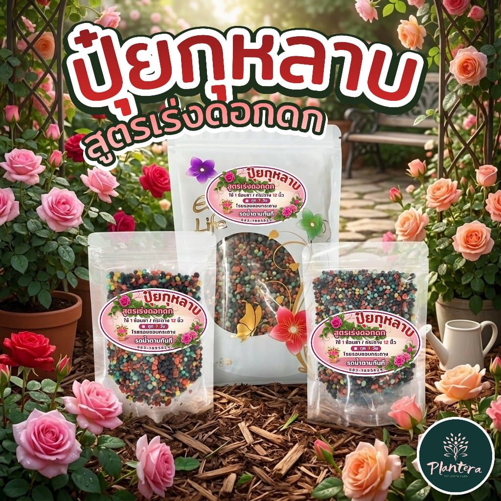 Plantera ปุ๋ยกุหลาบ เร่งดอกดก ขนาด 500 กรัม, 250 กรัม, 100 กรัม รูปที่ 1
